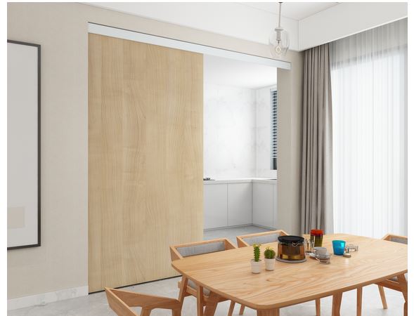 Schiebetürsystem Spaceship Deckenmontage eingelassen (Holztüren)